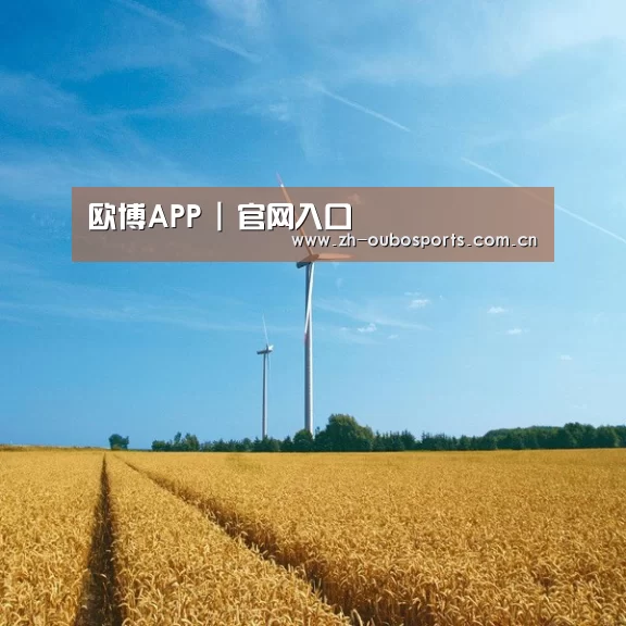 风能