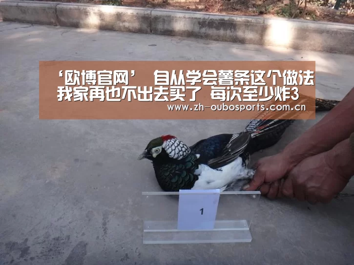 ‘欧博官网’
自从学会薯条这个做法 我家再也不出去买了 每次至少炸3斤 香(图1) 欧博官网