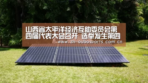 山西省太平洋经济互助委员会第四届代表大会召开 选举发生第四届向导班子【欧博官方平台】(图4) 欧博新春活动