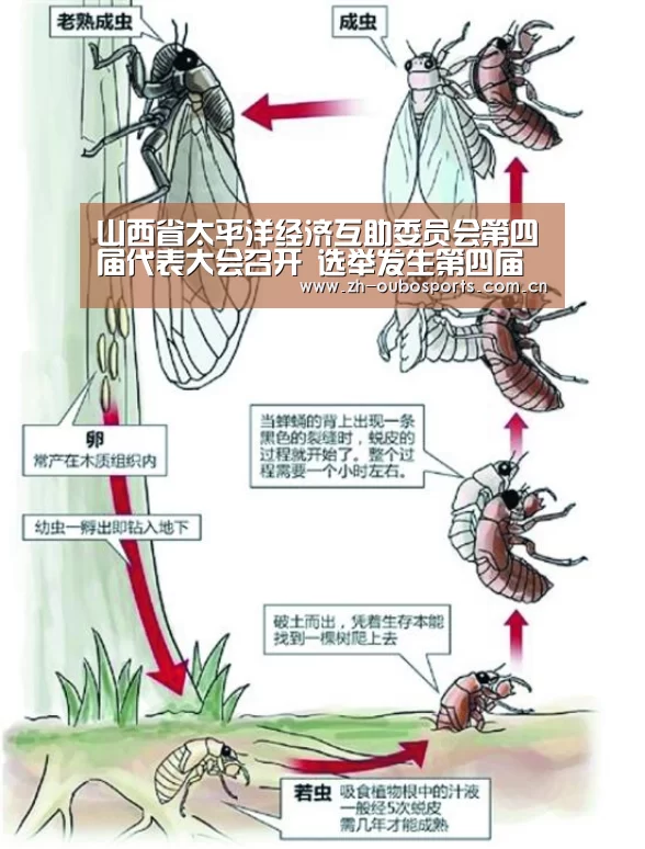 山西省太平洋经济互助委员会第四届代表大会召开 选举发生第四届向导班子【欧博官方平台】(图1) 欧博官网