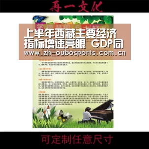 上半年西藏主要经济指标增速亮眼 GDP同比增长5.1%|欧博登入(图1) 欧博官方平台