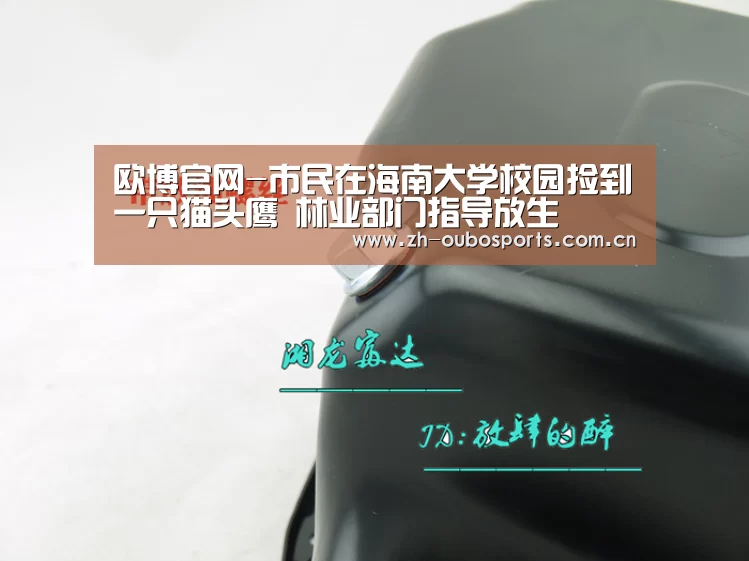 欧博官网-市民在海南大学校园捡到一只猫头鹰 林业部门指导放生(图1) 欧博官方平台